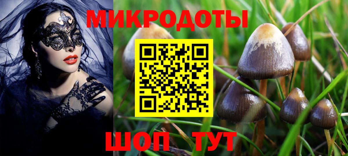 Дивногорск  Галлюциногенные грибы Psilocybine cubensis  Вход с VPN  Псилоцибиновые грибы Psilocybine cubensis 